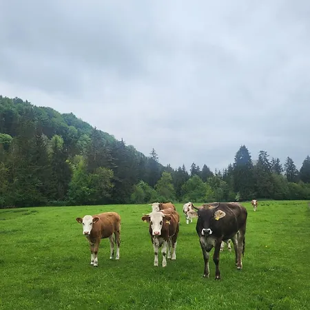 In Niederhasling * イルシェンベルク